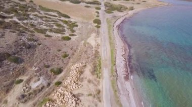 eski asfalt yol, çalılar ve deniz kenarı ile deniz kıyısı havadan görünümü, Kıbrıs'ta sonbahar seyahat 
