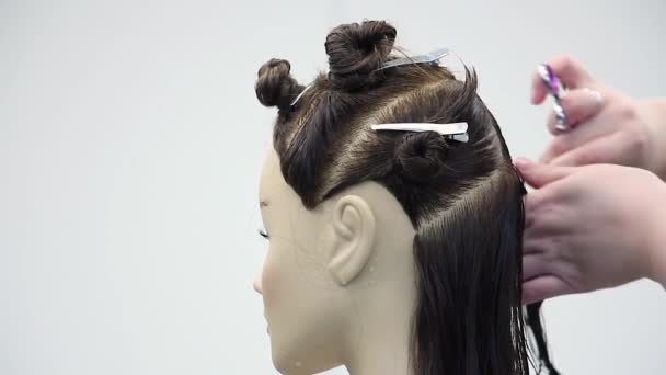 Hairdresser Carefully Combs Make Hair Parting Dummy Head Practices New — Stock Video
