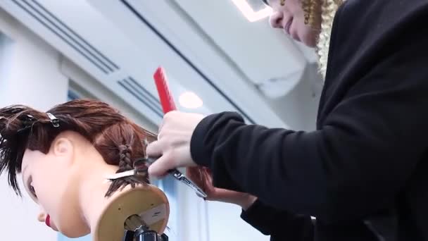 Styliste Peigne Soigneusement Les Cheveux Sur Tête Mannequin Pratiques Formation — Video