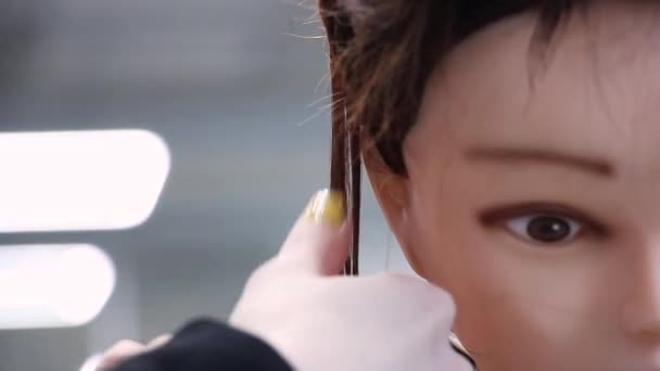 Manken Baş Acemi Stilist Elleri Yeni Beceriler Kuaförlük Atölyesi Yakın — Stok video