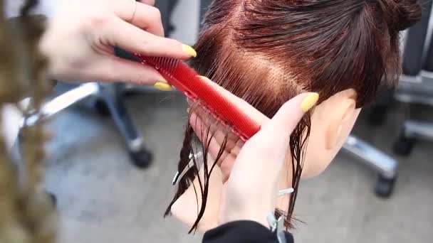 Stylist Kämmt Haare Auf Schaufensterpuppe Kopf Und Simuliert Haarschnitt Mit — Stockvideo