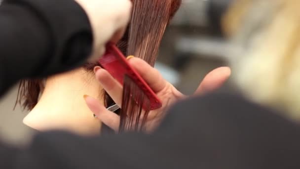 Stylist Pettina Con Cura Capelli Sul Manichino Pratiche Formazione Nuove — Video Stock