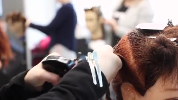 Стилист Увлажняет Волосы Тупой Голове Спреем Практикует Новые Навыки Тренируется — стоковое видео
