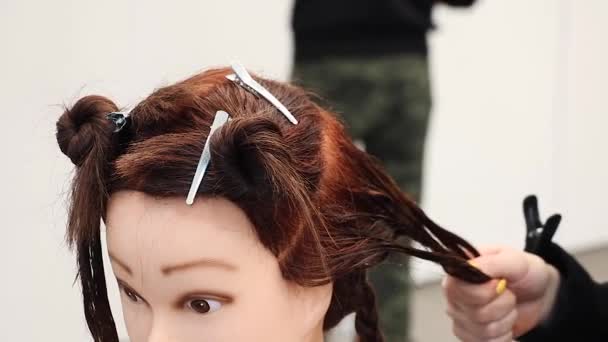 Stylist Carefully Combs Hair Dummy Head Practices Training New Skills — Stock Video