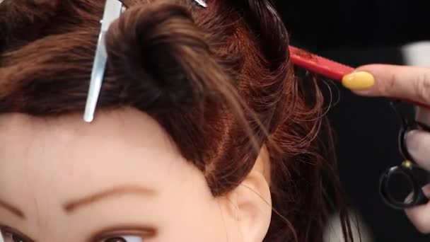 Початківець Перукар Ретельно Розчісує Волосся Голові Манекена Практикує Тренує Нові — стокове відео