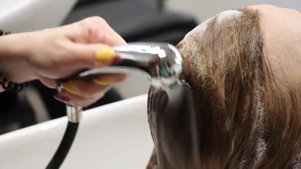 造型师冲洗洗发水泡沫从客户发头 在理发店培训 — 图库视频影像