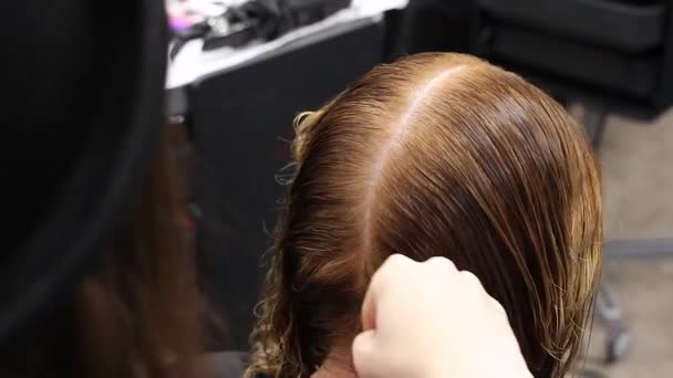 Styliste Peigne Doucement Faire Séparation Des Cheveux Sur Tête Féminine — Video