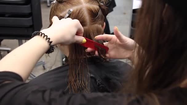 Coiffeur Peigne Doucement Faire Séparation Des Cheveux Sur Tête Femme — Video