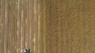 Mısır tarlasında hasat makinesinin hava görüntüsü, sonbaharda mısır ve tahıl için kuru mısır ekimi, sonbaharda hava tarımı dronu görüntüsü, kamera yükseliyor.   