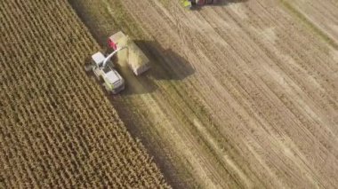 Moskova, Rusya - 4 Ekim 2019: Polushkino köyü yakınlarındaki tarlalarda hasat ve çöp kamyonlarının hava görüntüsü. Sonbaharda tohum için kuru mısır mahsulü, tarım insansız hava aracı atışı..