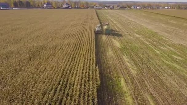 Moscow Russie Oktober 2019 Vanuit Lucht Worden Oogst Dumptrucks Gecombineerd — Stockvideo