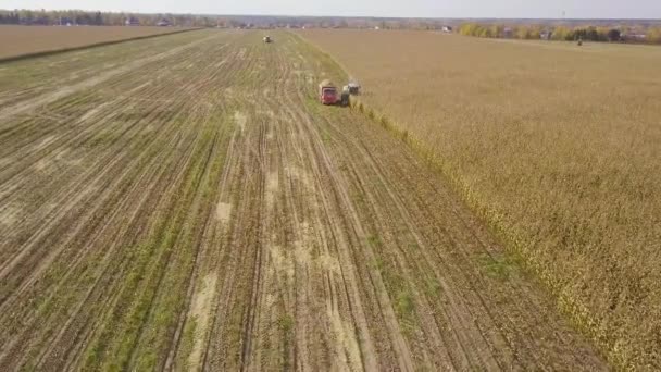 Moscow Russia Oktober 2019 Luchtfoto Van Maaidorser Vuilniswagen Die Maïsgewassen — Stockvideo