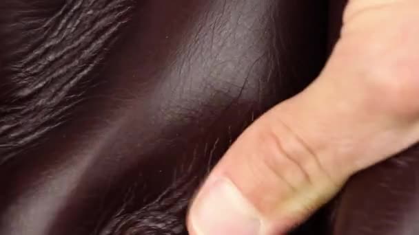 Mano Humana Que Prueba Fondo Lado Exterior Cuero Brillante Suave — Vídeo de stock