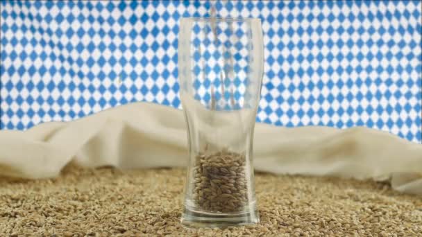 Dimostrazione di materie prime di birra di alta qualità malto, malto viene versato in un bicchiere di birra che si erge su un tavolo con paglia carica sullo sfondo di tessuto di sentina e una bandiera Bovar sventolante — Video Stock