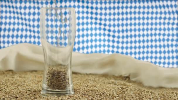 Malto di alta qualità che viene versato in un bicchiere di birra di vetro sullo sfondo di una bandiera Bovar svolazzante — Video Stock