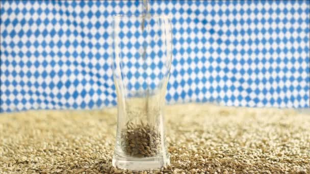 Dark malt is poured into a beer glass with the top against the background of the Bovarian flag of the beer festival — Stock Video