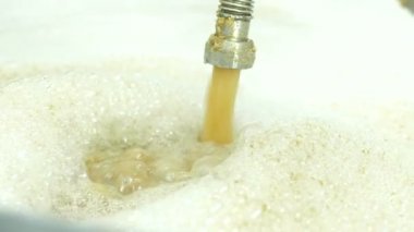 bira fabrikasında bira üretimi için arpa taneleri pişirme.