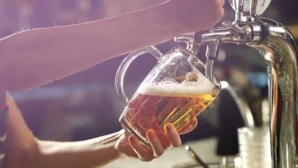 Ремесленное пиво налито в стакан . — стоковое видео