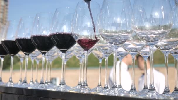 Fundo de um grande número de óculos. O garçom derrama vinho tinto italiano de uma casta tradicional, recolhida e fabricada pelo agricultor para vinificação artesanal — Vídeo de Stock