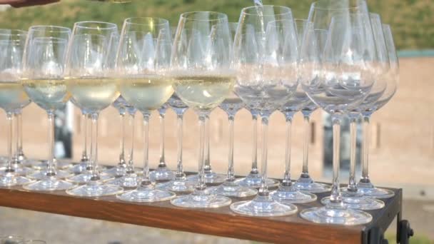 伝統的なブドウ品種の白いイタリアワインの背景、クラフトワイン醸造のために農家によって収集され、作られた — ストック動画