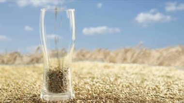 Arpa malt koyu ve hafif bira yapmak için. doğa kavramı ve bira ve taze şerbetçiotu gibi doğal ürünlerin yaratılması. brewmaster için doğal maddeler