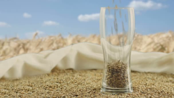 啤酒杯补充谷物大麦麦芽和烤小麦，使黑暗和清淡的啤酒。自然的概念和天然产品的创造，如啤酒和新鲜啤酒花。慕尼黑 — 图库视频影像