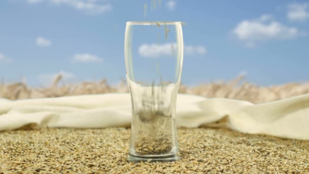 グラスマグカップは、クラフトビールとアルコールウイスキーを作るための大麦麦芽と小麦で満たされています。を背景に醸造とアルコール飲料 — ストック動画