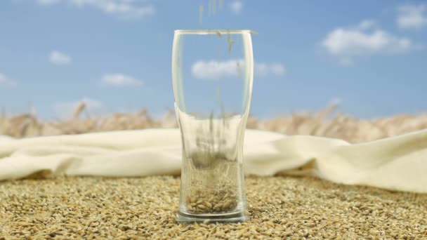 Caneca de vidro são preenchidos com Malte de cevada e trigo para fazer artesanato cerveja e uísque alcoólico. Malte orgânico e natural para brewmaster. Cervejaria e bebidas alcoólicas no contexto do — Vídeo de Stock