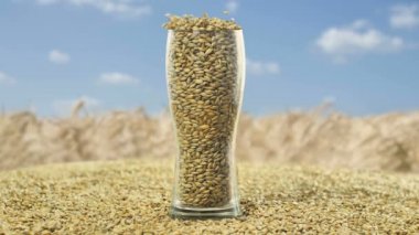 Kuru malt fasulye bira veya saf ışık veya koyu malt viski demlemek için kullanılmak üzere hazır. sağlıklı ve sağlıklı maddeler kavramı. Cam tahılarpa malt ve tost Buğday ile doldurulan