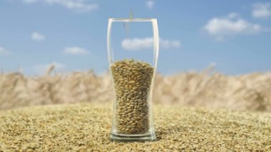 Arpa malt koyu ve hafif zanaat bira yapmak için. Doğa kavramı ve bira ve taze şerbetçiotu gibi doğal ürünlerin yaratılması. bir bira veya tek malt için organik ve doğal malt