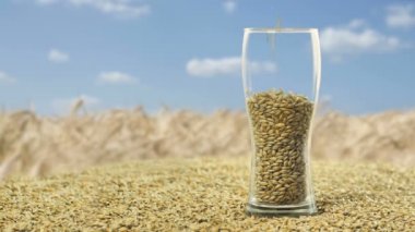 Arpa malt karanlık ve hafif zanaat bira veya viski yapmak için. Bir bira veya tek malt için organik ve doğal malt