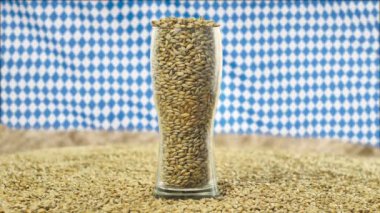 Oktoberfest Bira Bardağı rüzgarda sallayarak Bovarian bayrağı Oktoberfest arka plan karşı tahıl Malt ve Buğday ile doldurulur. Yavaş çekim