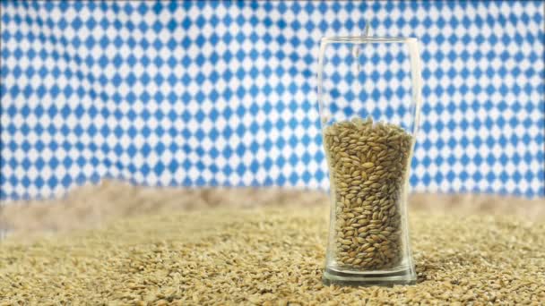 Beer glass on malt and wheat grains for brewing and whiskey. Against the background of the Bovarian flag Oktoberfest which is waving in the wind. Slow motion — Stock Video