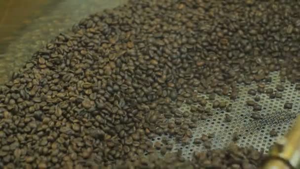 Los granos de café argentinos se tuestan en una máquina especial — Vídeo de stock