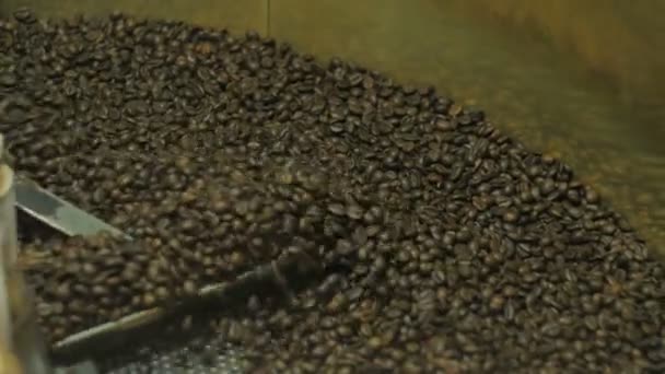 Granos argentinos de café oscuro tostados en un aparato especial — Vídeo de stock