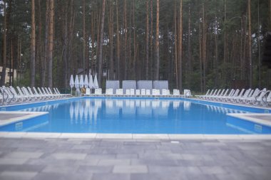 lüks rahatlama ve spa için bir çam ormanında havuz