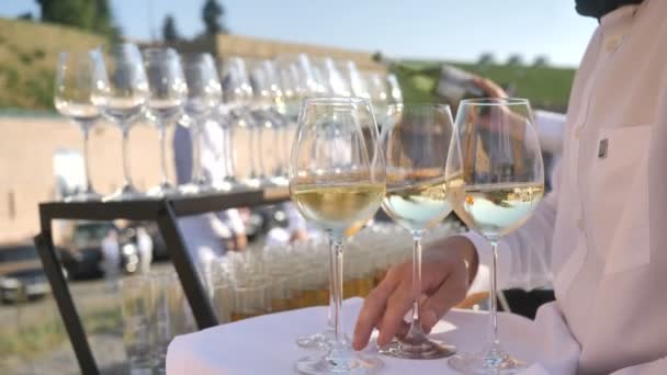 Servicio de catering. El camarero vierte vino tinto italiano y francés de una variedad de uva tradicional, recogida y elaborada por el agricultor para la vinificación artesanal 4k — Vídeo de stock