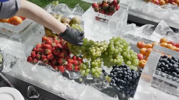 Een boer verspreidt geplukt aardbeien zonder Pestecides en chemicaliën op ijs te koop op de beurs. Het concept van een gezonde en gezonde voedings voeding van seizoensbessen. Slow Motion 4k — Stockvideo