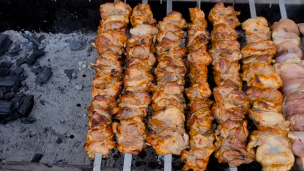 Brochetas de barbacoa kebabs de carne, humo de las brasas en la parrilla 4k . — Vídeo de stock