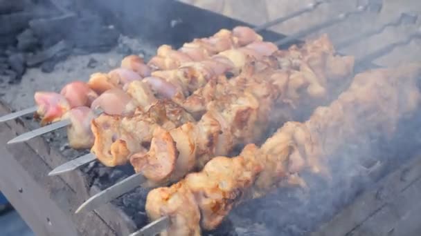 Espetos de churrasco kebabs de carne, fumaça das brasas na grelha 4k . — Vídeo de Stock