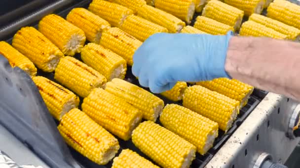 Cooking BBQ Corn Grilled with Smoke from Coal — Stock Video