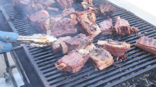 Surtido de deliciosa grasa orgánica carne marinada en el hueso de cordero de res, cerdo, cocinado en las brasas cámara lenta 4k . — Vídeos de Stock