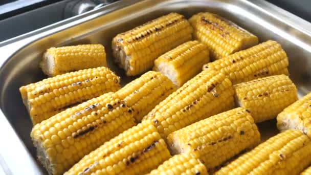 Grilled corn with salt and spices, in a metal tray prepared for the buffet of the restaurant or event 4k. — Stock Video