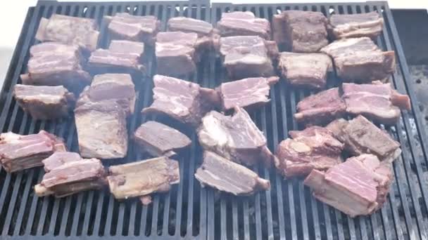 Barbecue koken rundvlees steak en varkensvlees rib. Natuurlijk biologisch vlees Gegrild close-up 4k — Stockvideo