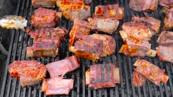 Barbecue américain assorti délicieux gras bio mariné viande sur l'os de boeuf, agneau, porc, cuit sur un charbon de bois Grill 4k Ralenti . — Video
