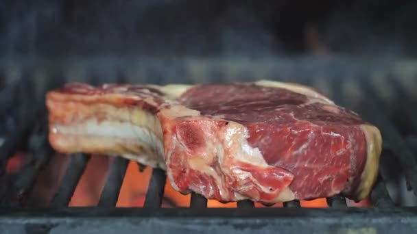 Carne de res cocinar sobre parrilla llameante — Vídeo de stock
