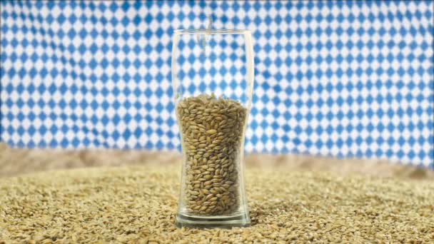 Bicchiere di birra riempito con cereali Malto e Grano per la produzione di birra e bevande alcoliche sullo sfondo della bandiera bovarica Oktoberfest che sventola nel vento. Rallentatore — Video Stock