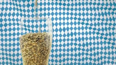 Arpa malt doğanın alkollü içecekler viski kavramı ve doğal ürünlerin oluşturulması yapmak için bir bira bardağına dökülür. Bovarian bayrağı Oktoberfest arka planda olan