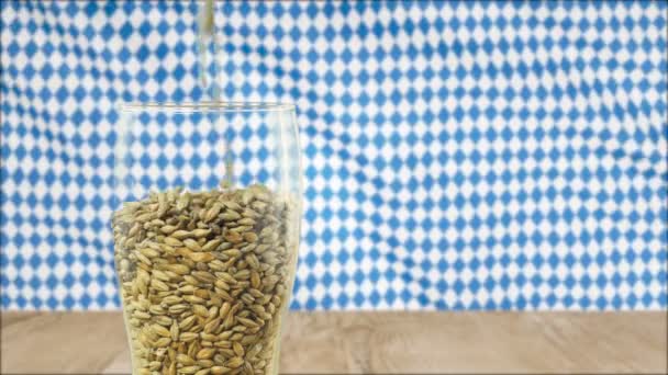 Ölglas fylls med korn korn malt och rostat vete för att göra mörk och lätt öl. begreppet natur och skapandet av naturliga produkter såsom öl och färskt humle. ekologisk och naturlig malt — Stockvideo