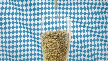 Arpa malt koyu ve hafif zanaat bira yapmak için. Doğa kavramı ve bira ve taze şerbetçiotu gibi doğal ürünlerin yaratılması. karşı bir bira veya tek malt için organik ve doğal malt